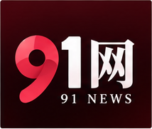 91次元品牌标志